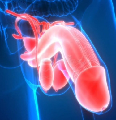 NSF and their  244 STANDARD CAN 🍼  MY 🐓. We do not need inacurate standards that are not able to measure exact amounts of microplastics. YOU CAN ENJOY HYPER STANDARD