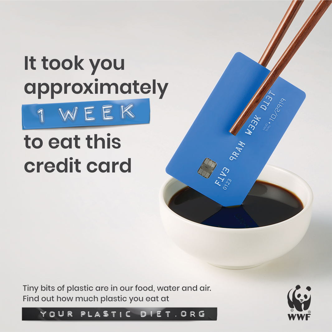 Vel caeco appareat : Plastic ingestion equates to eating a credit card a week